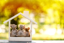 Mortgage Loans